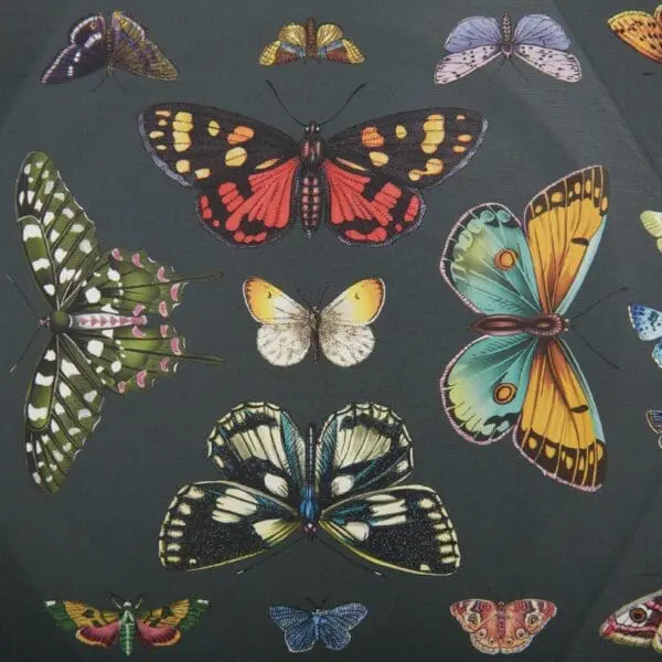  - 137-TW13-25236_3_lg.jpg