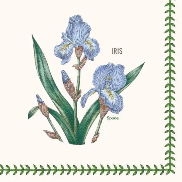  - 137-TW4-24458_lg.jpg