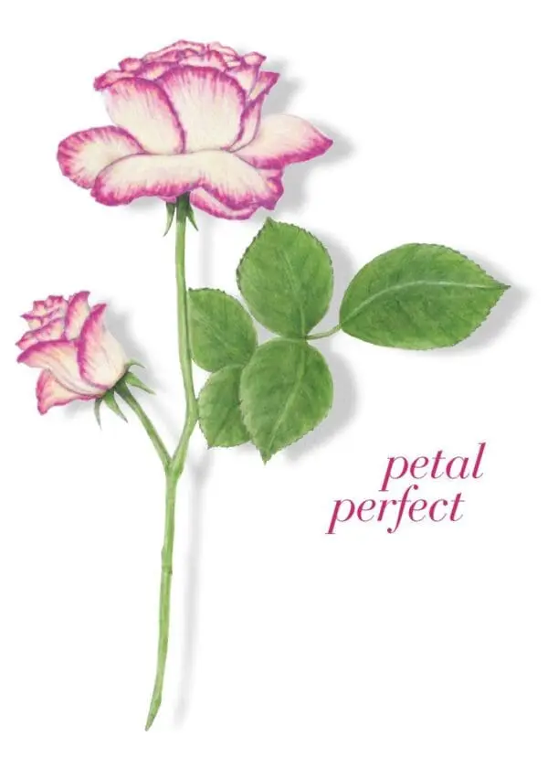  - 2156-GC01626_lg.jpg