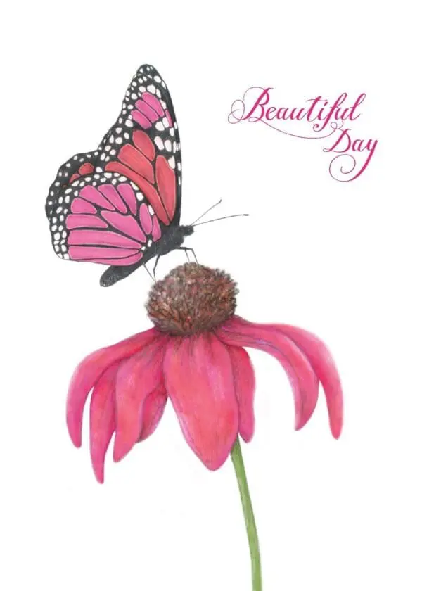  - 2156-GC01703_lg.jpg