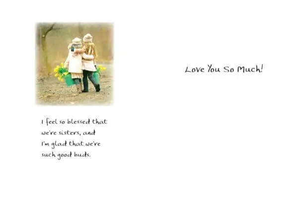  - 2583-PIX001P_1_lg.jpg