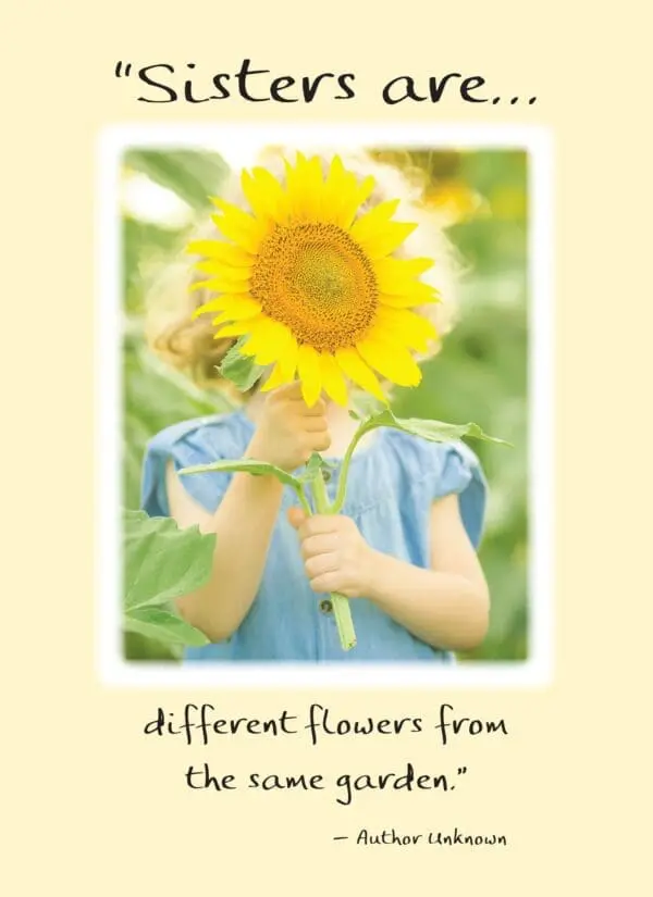  - 2583-PIX001P_lg.jpg