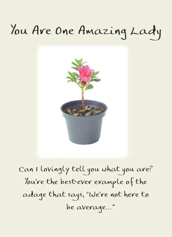  - 2583-PIX006P_lg.jpg