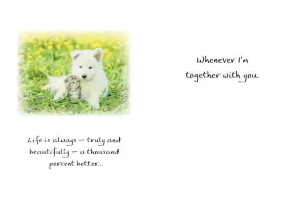  - 2583-PIX013P_1_lg.jpg