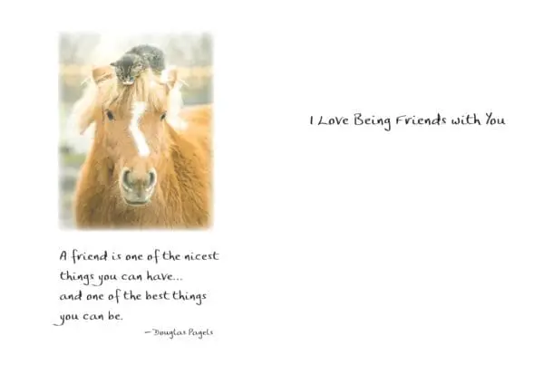  - 2583-PIX021P_1_lg.jpg