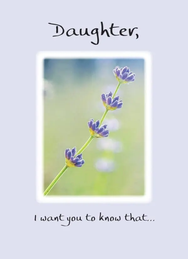  - 2583-PIX036P_lg.jpg