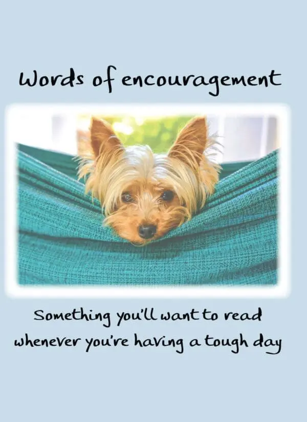  - 2583-PIX058P_lg.jpg