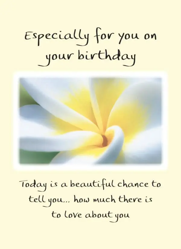  - 2583-PIX064P_lg.jpg