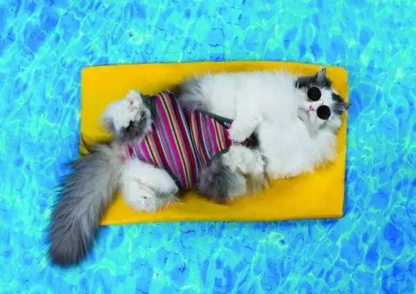  - 2800-774-00083_lg.jpg