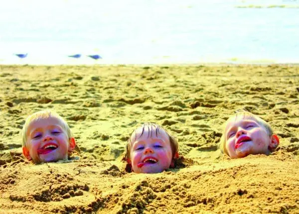  - 2800-774-00099_lg.jpg