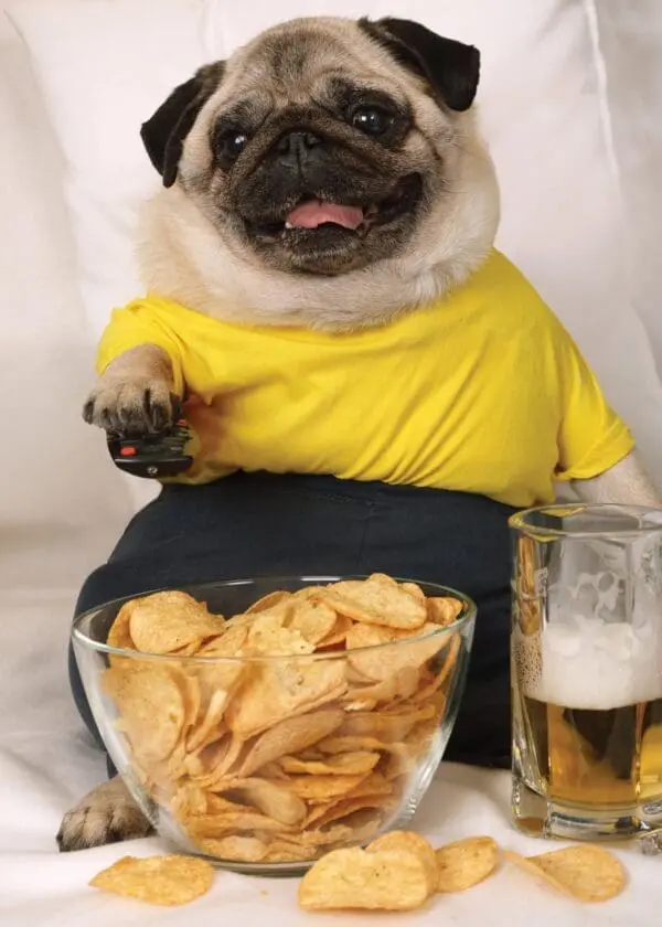  - 2800-774-00113_lg.jpg