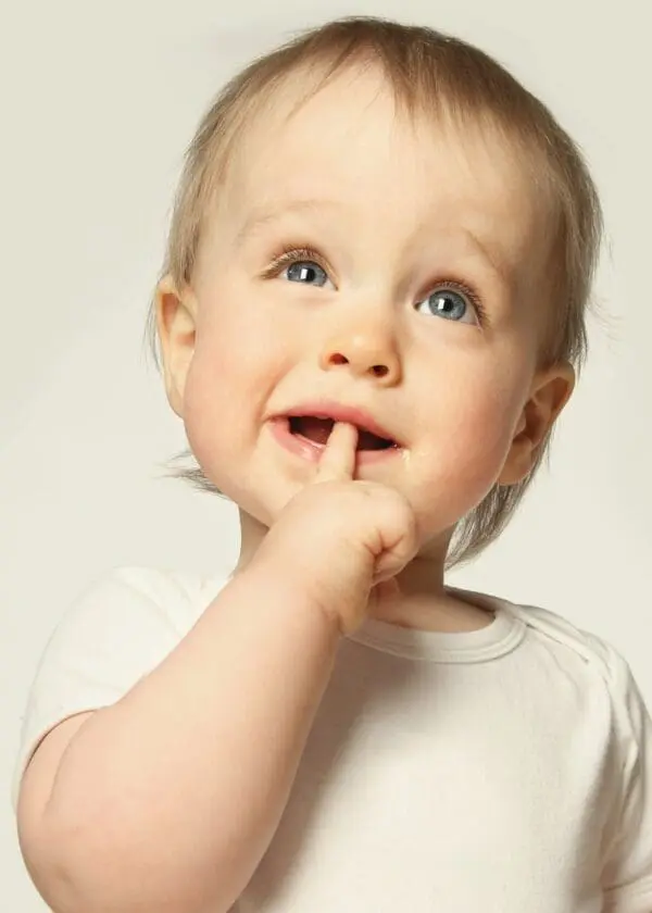  - 2800-774-00117_lg.jpg