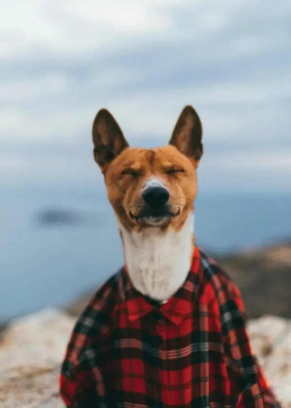  - 2800-774-00121_lg.jpg