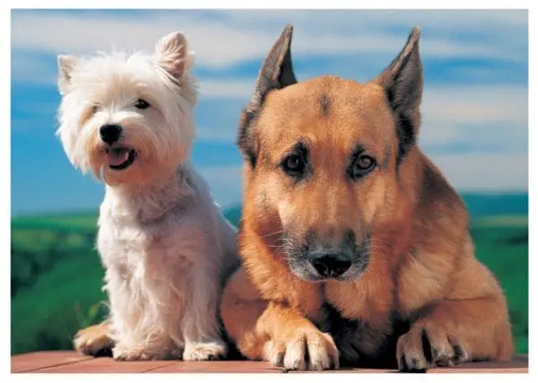  - 2800-774-00169_lg.jpg