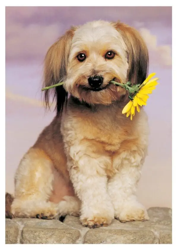  - 2800-774-00225_lg.jpg