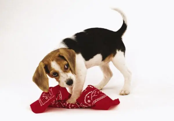  - 2800-774-00439_lg.jpg