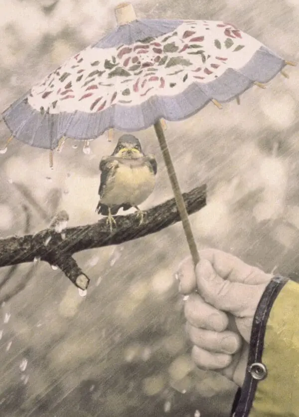  - 2800-774-00960_lg.jpg