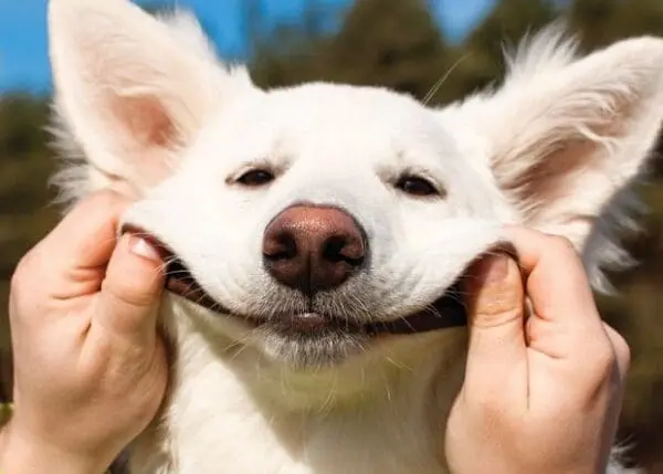  - 2800-774-01131_lg.jpg