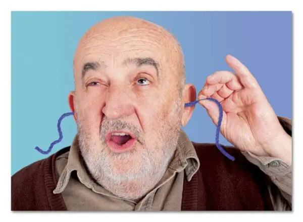  - 2800-774-01137_lg.jpg