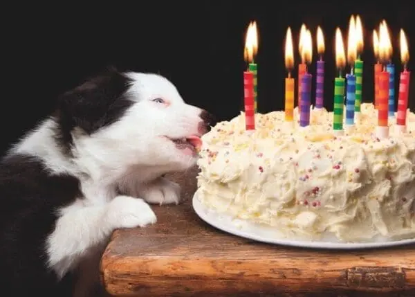  - 2800-774-01174_lg.jpg