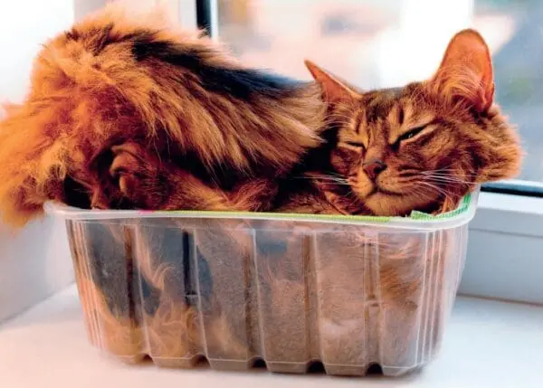  - 2800-774-01341_lg.jpg