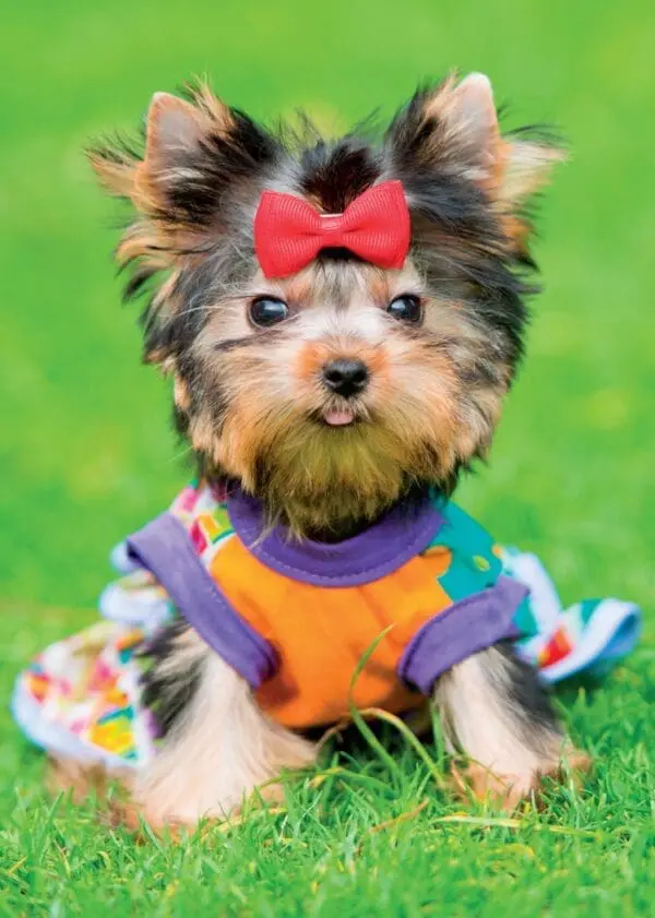  - 2800-774-01342_lg.jpg