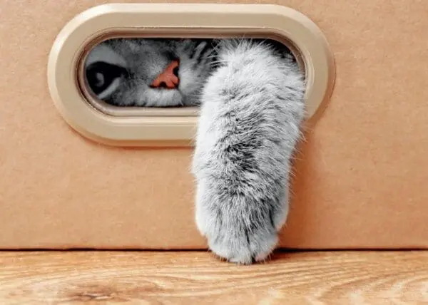  - 2800-774-01347_lg.jpg