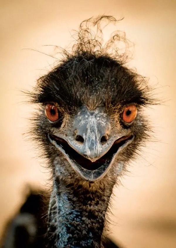  - 2800-774-01351_lg.jpg