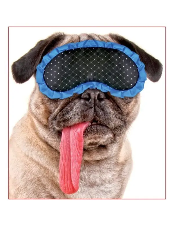  - 2800-774-01356_lg.jpg