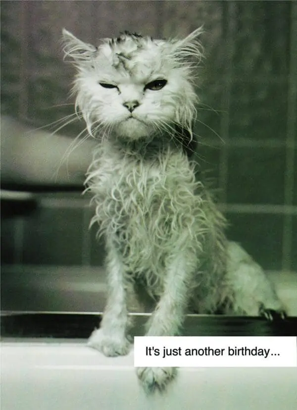  - 2800-774-01368_lg.jpg