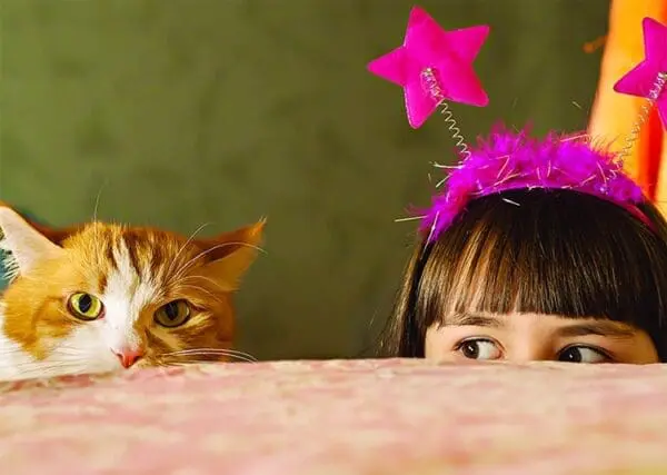  - 2800-774-01388_lg.jpg