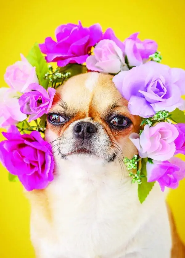  - 2800-774-01455_lg.jpg