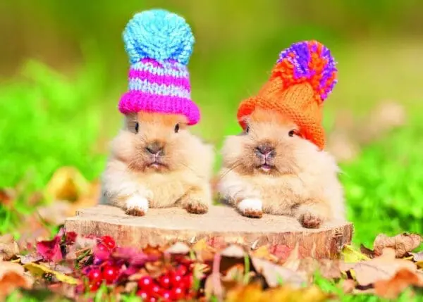  - 2800-774-01461_lg.jpg