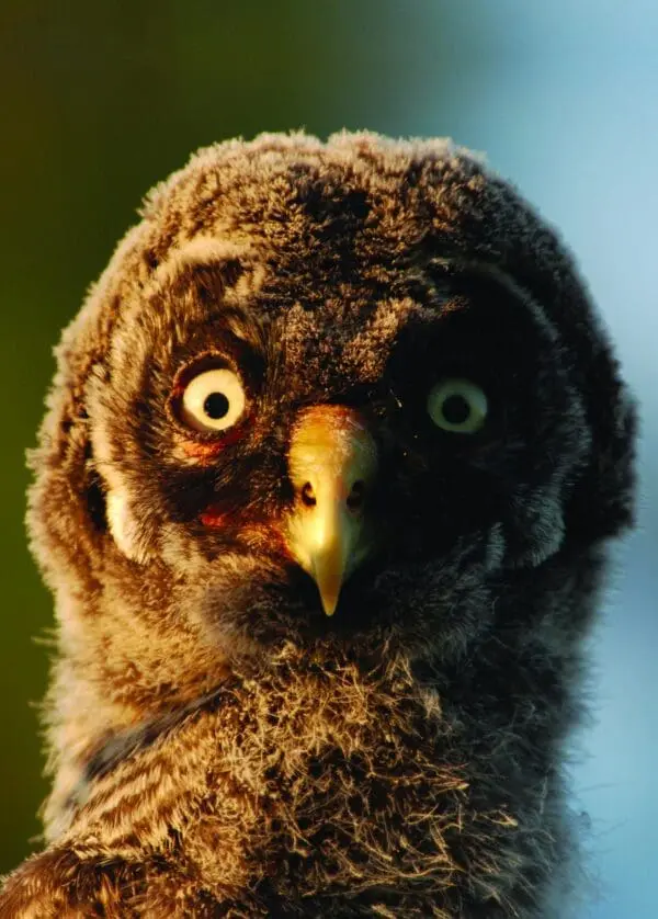  - 2800-774-01485_lg.jpg