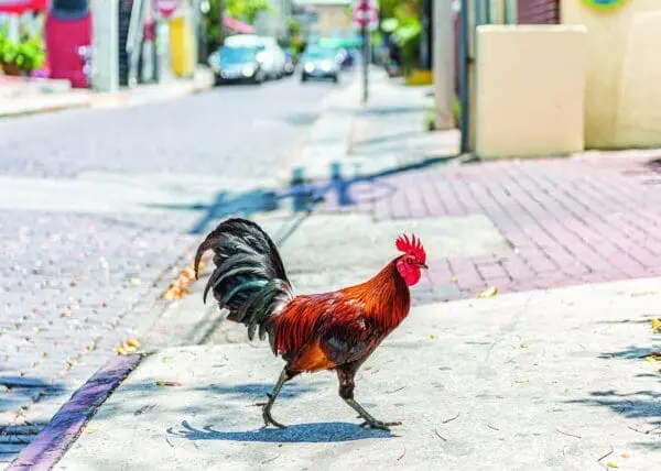  - 2800-774-01499_lg.jpg