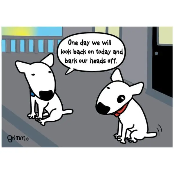  - 382-MAG0008_lg.jpg