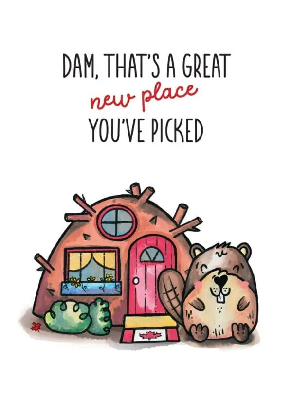  - 4231-SQUC0024_lg.jpg