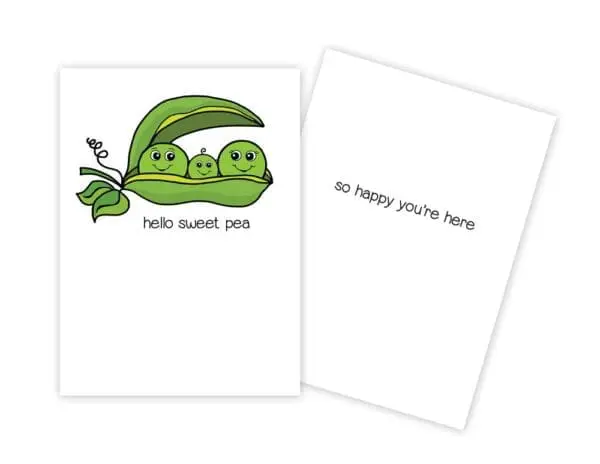  - 430-CD-8955-NB_lg.jpg