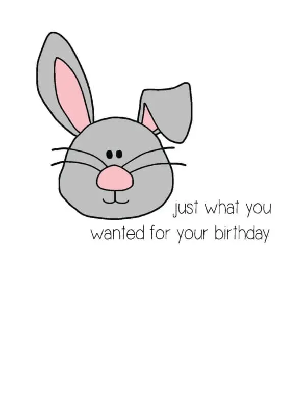  - 430-CD8009BD_lg.jpg