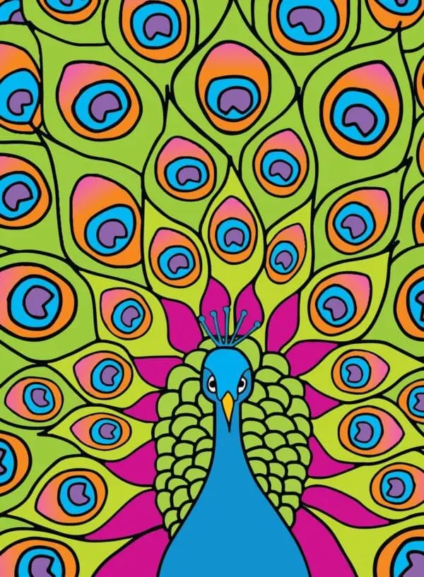  - 430-CD8084BD_lg.jpg