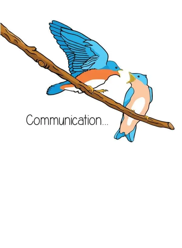  - 430-CD8388RM_lg.jpg