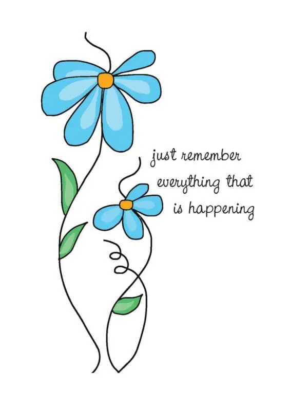  - 430-CD8502EN_lg.jpg