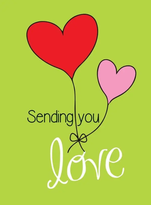  - 430-CD8505EN_lg.jpg