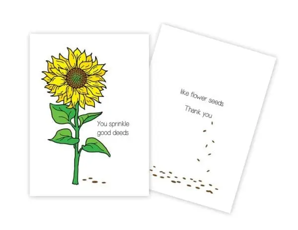  - 430-CD8541TY_lg.jpg