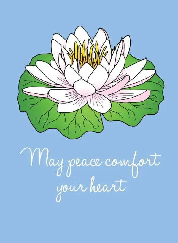  - 430-CD8588SY_lg.jpg