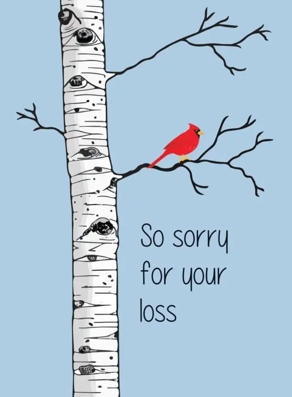  - 430-CD8589SY_lg.jpg