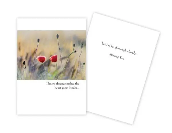  - 430-GC-1472-MY_lg.jpg