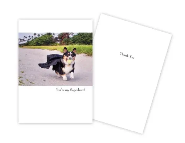  - 430-GC-1543-TY_lg.jpg