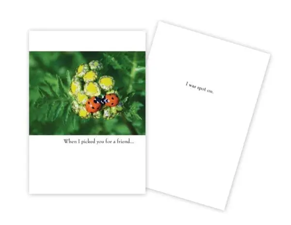  - 430-GC-1686-FS_lg.jpg