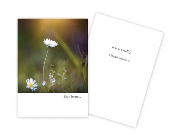  - 430-GC-1848-CG_lg.jpg